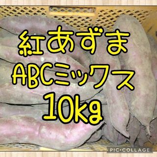 紅あずまABCミックス10kg(野菜)