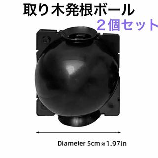 取り木　発根ボール　２個セット　園芸　移植　挿し木　接木　植物　ガーデニング2(その他)