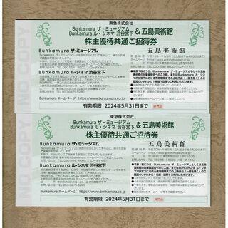 Bunkamuraザ・ミュージアム／ル・シネマ、五島美術館 共通ご招待券2枚(その他)