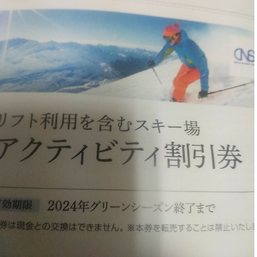 日本駐車場開発株主優待 スキー場 割引券1枚の通販 by たかきみ