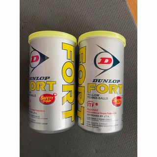 テニスボール DUNLOP FORT 2缶(ボール)