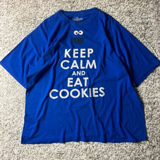 セサミストリート(SESAME STREET)の【グッドレギュラー】セサミストリート　ビッグサイズ　ダメージ　ボロTシャツ(Tシャツ/カットソー(半袖/袖なし))