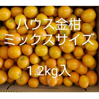 GaGacat様専用 リンゴチップス4袋×3袋の通販 by nana's shop｜ラクマ