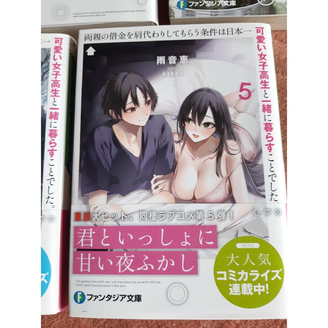 角川書店(カドカワショテン)の両親の借金を肩代わりしてもらう条件は日本一可愛い女子高生と一緒に暮らすことでした エンタメ/ホビーの本(文学/小説)の商品写真