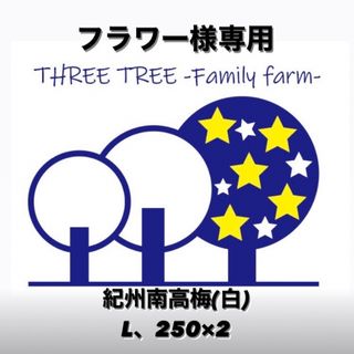 フラワー様専用!紀州南高梅 無添加梅干し すっぱい白干し梅 L家庭用250g×2(漬物)