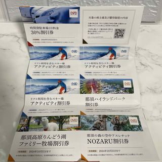 日本駐車場開発 株主優待券 1,000株(その他)