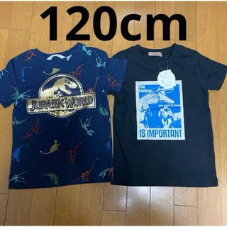 エイチアンドエム(H&M)の120cm 男の子 恐竜柄 半袖Tシャツ 2枚セット まとめ売り 新品 中古(Tシャツ/カットソー)