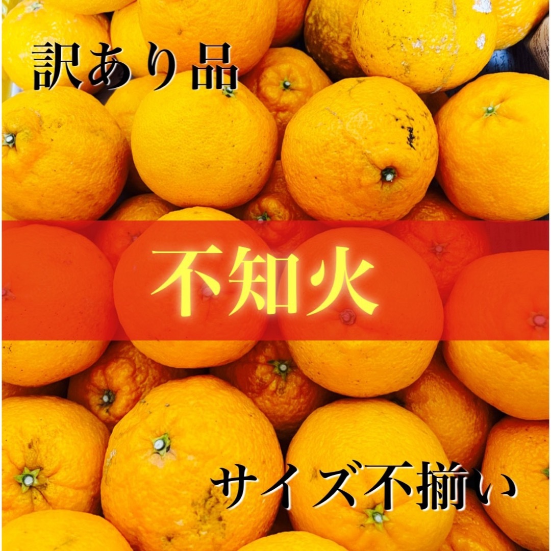 有田みかん(アリダミカン)の有田 デコポン 不知火 2キロ 訳あり品 サイズ混合 食品/飲料/酒の食品(フルーツ)の商品写真