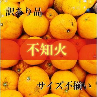 アリダミカン(有田みかん)の有田 デコポン 不知火 2キロ 訳あり品 サイズ混合(フルーツ)