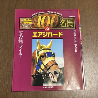 週刊100名馬　エアジハード　Gallop 臨時増刊　競馬(趣味/スポーツ)