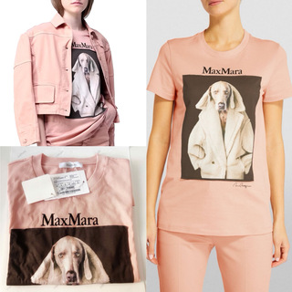 マックスマーラ(Max Mara)のMaxMara VALIDO wegman マックスマーラ Tシャツ MMDOG(Tシャツ(半袖/袖なし))