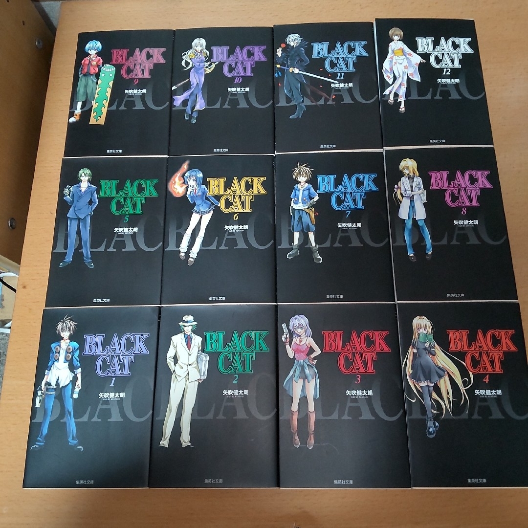 【ＢＬＡＣＫ　ＣＡＴ(ブラックキャット)　全巻(１〜１２巻)セット　文庫】