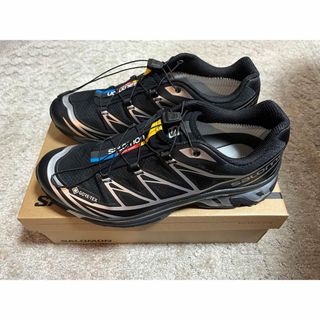 サロモン(SALOMON)のsalomon XT-6 gtx GORE-TEX 29cm(スニーカー)