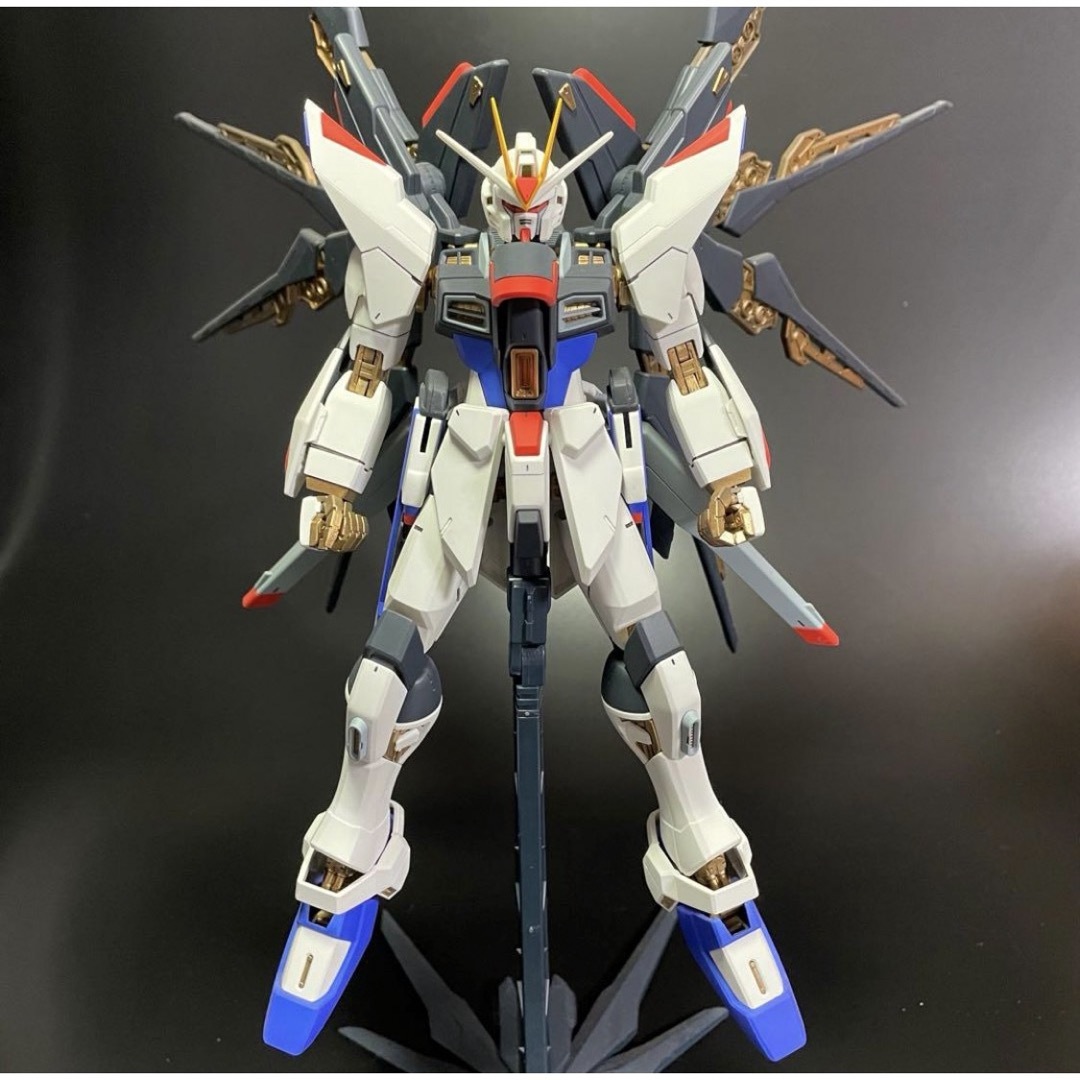 BANDAI - 1点物【完成品 】 MG ストライクフリーダム デスティニー