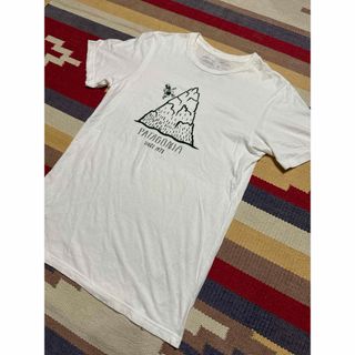 パタゴニア(patagonia)のパタゴニア Tシャツ(Tシャツ/カットソー(半袖/袖なし))