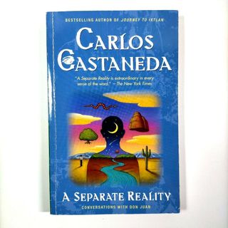 【洋書】Separate Reality(洋書)