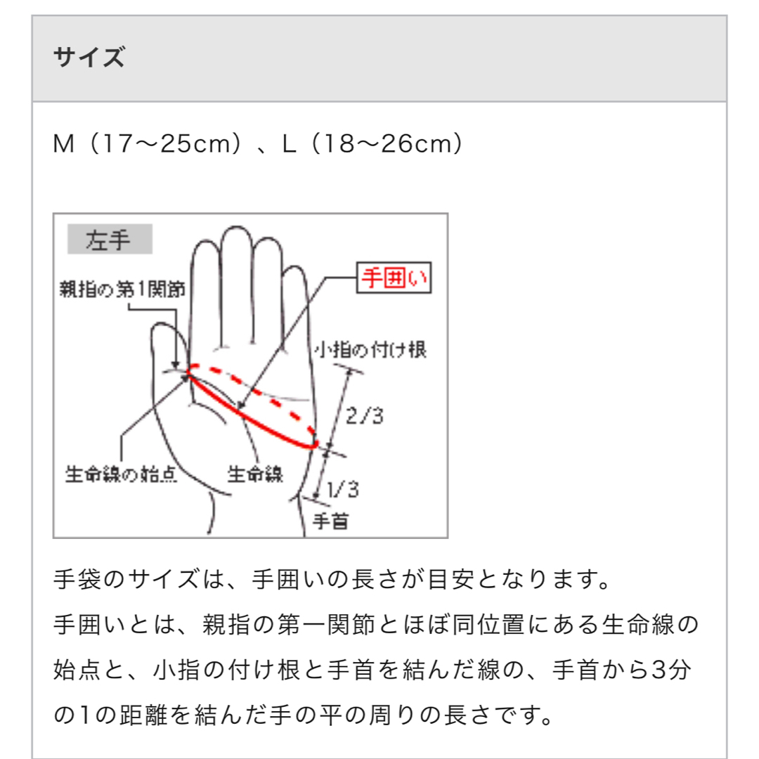 MIZUNO(ミズノ)のMIZUNO ソフトミット(両手)水泳 トレーニング (男女兼用/ユニセックス) スポーツ/アウトドアのトレーニング/エクササイズ(トレーニング用品)の商品写真