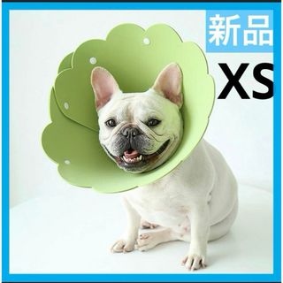 Alien Pet エリザベスカラー 猫用 犬用 ソフト XS グリーン 1枚(猫)