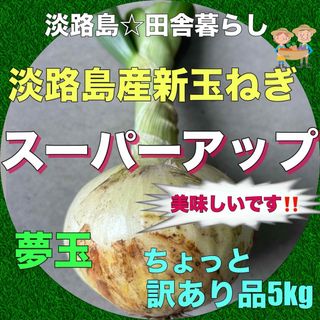 淡路島産新玉ねぎ 茎付き ちょっと訳あり品5kg スーパーアップ 極早生 夢玉(野菜)