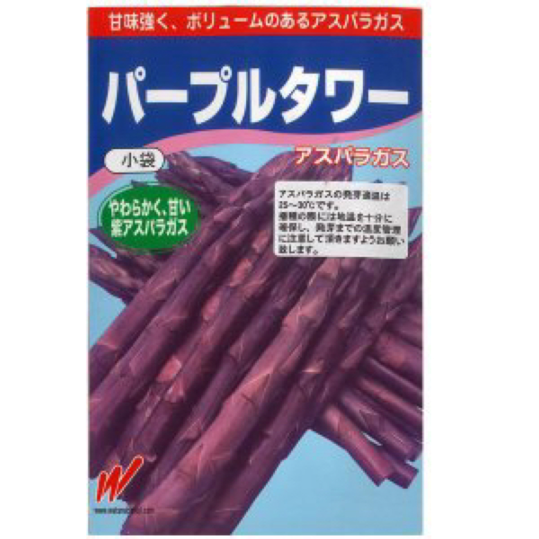 ③紫アスパラガス パープルタワー 苗 大苗2株セット 無農薬栽培 食品/飲料/酒の食品(野菜)の商品写真