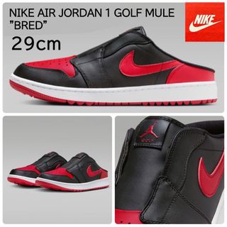 Jordan Brand（NIKE） - 27.5cm Nike Air Jordan 1 Low Golf 