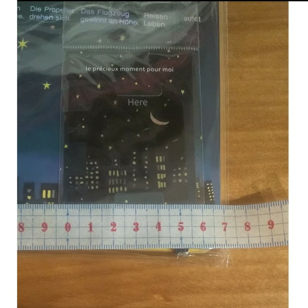 DELFONICS(デルフォニックス)のロルバーン 夜空 文具女子博 エンタメ/ホビーのコレクション(その他)の商品写真