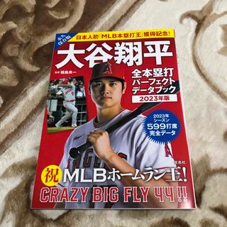 大谷翔平 全本塁打パーフェクトデータブック 2023年版(趣味/スポーツ)