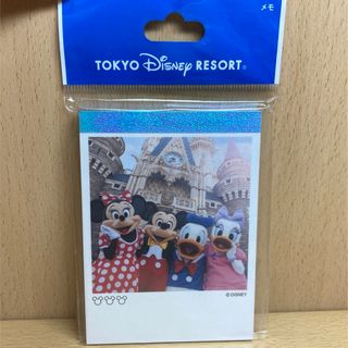 ディズニー(Disney)のディズニーリゾート　ディズニー　実写　メモ　旧フェイス　TDL ディズニーランド(キャラクターグッズ)