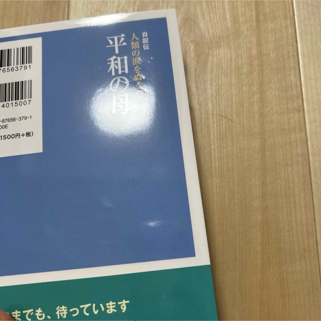 人類の涙をぬぐう平和の母 エンタメ/ホビーの本(人文/社会)の商品写真