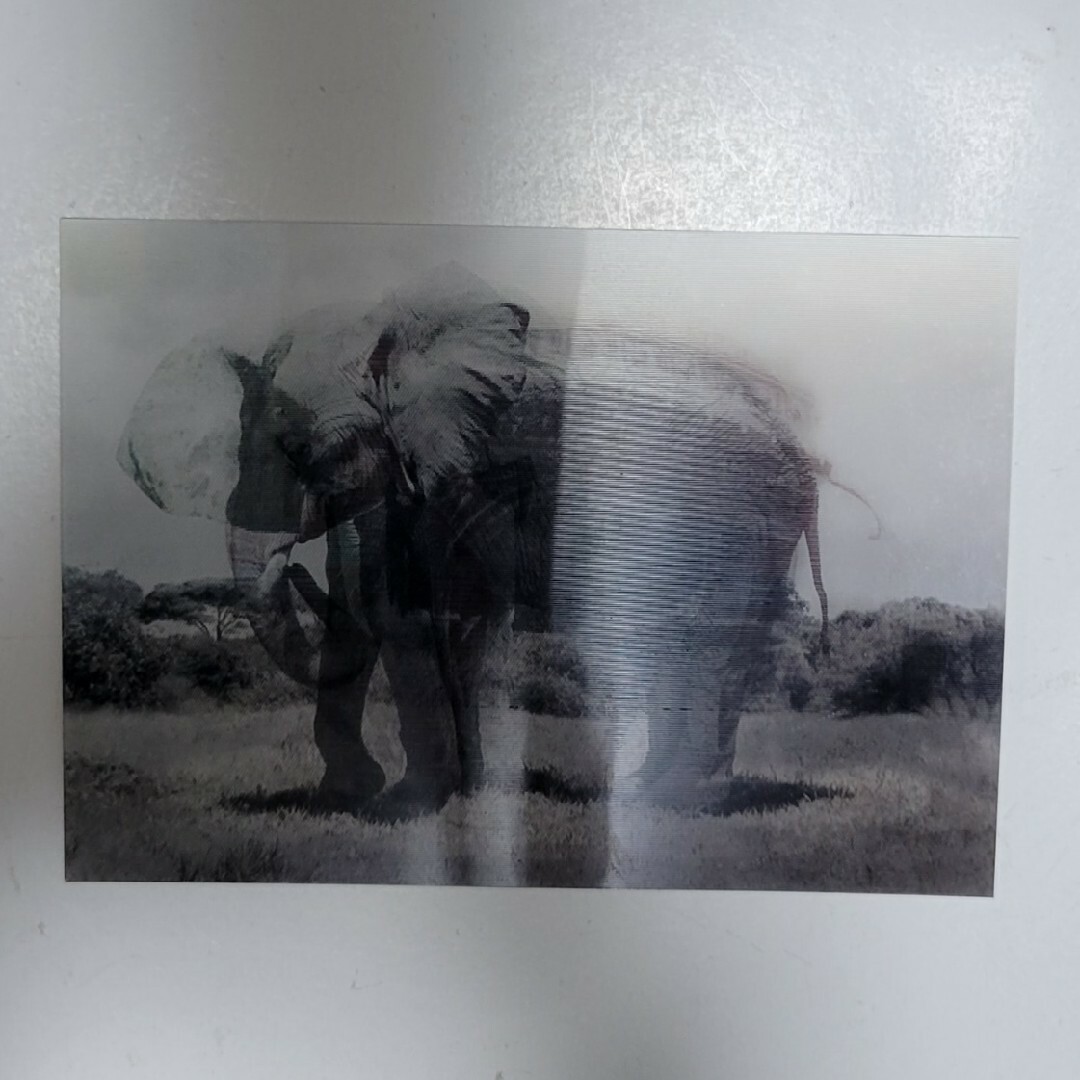 ポストカード（象・凱旋門） エンタメ/ホビーのコレクション(その他)の商品写真