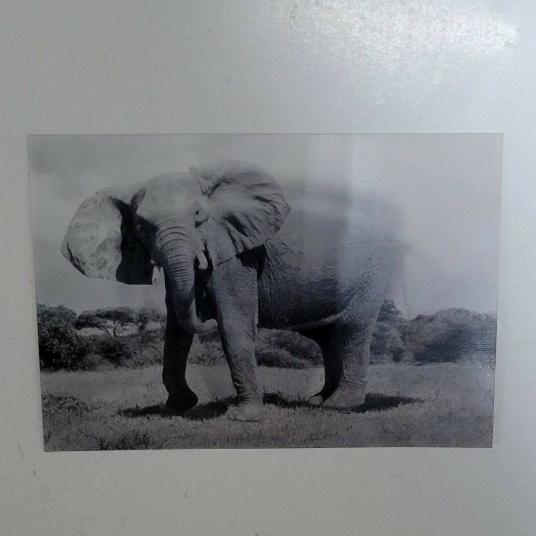 ポストカード（象・凱旋門） エンタメ/ホビーのコレクション(その他)の商品写真