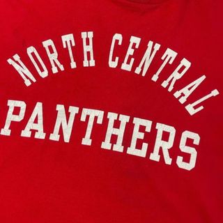 USA製 90年代 north central panthers カレッジチーム 2段 ロゴプリントTシャツ メンズXL(ポロシャツ)