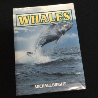 クジラ　写真集　洋書　鯨　Whales 英語　哺乳類　アニマル　動物　海　自然(洋書)