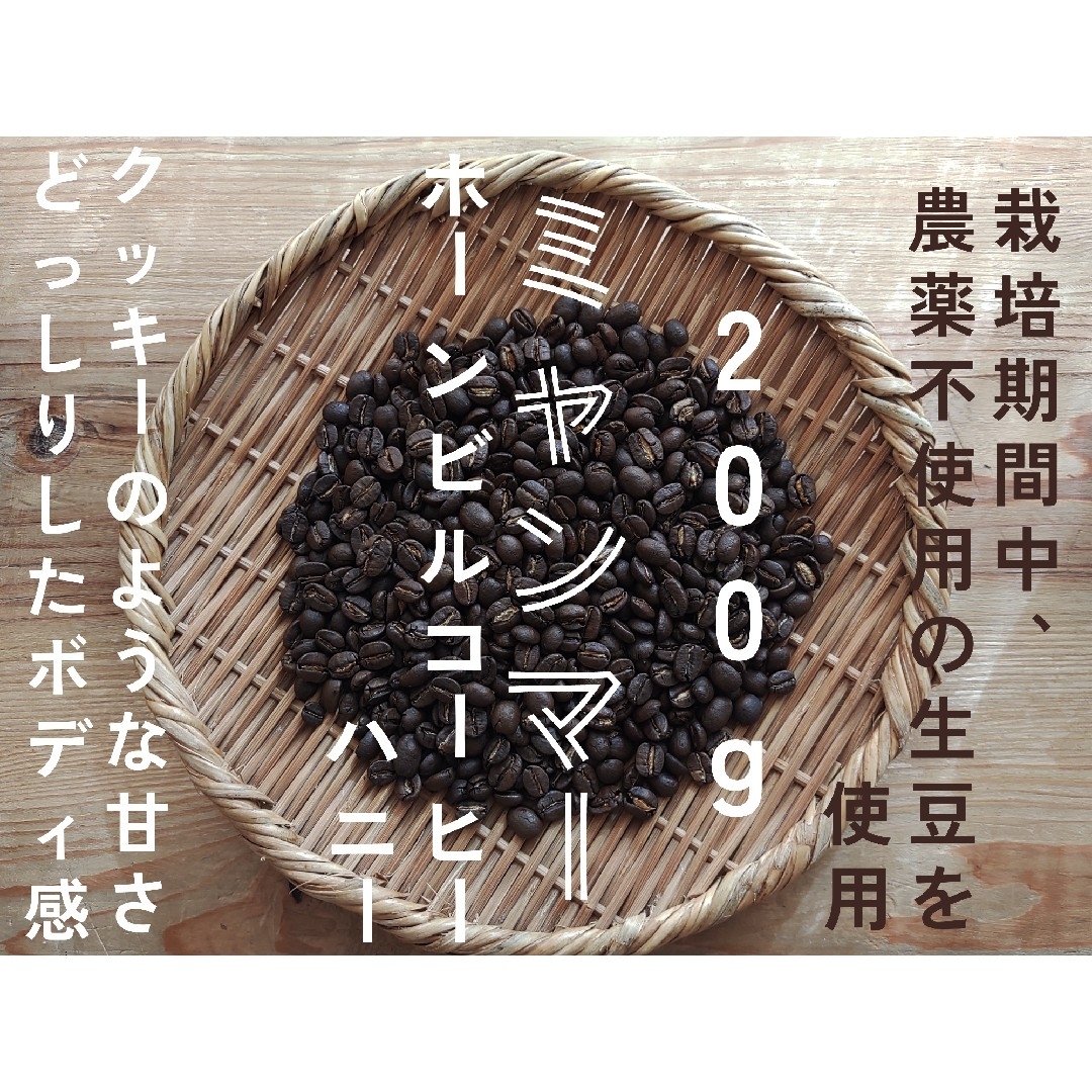 ミャンマー　ホーンビルコーヒーハニー　自家焙煎コーヒー豆　200g 食品/飲料/酒の飲料(コーヒー)の商品写真