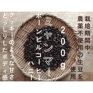 ミャンマー　ホーンビルコーヒーハニー　自家焙煎コーヒー豆　200g(コーヒー)