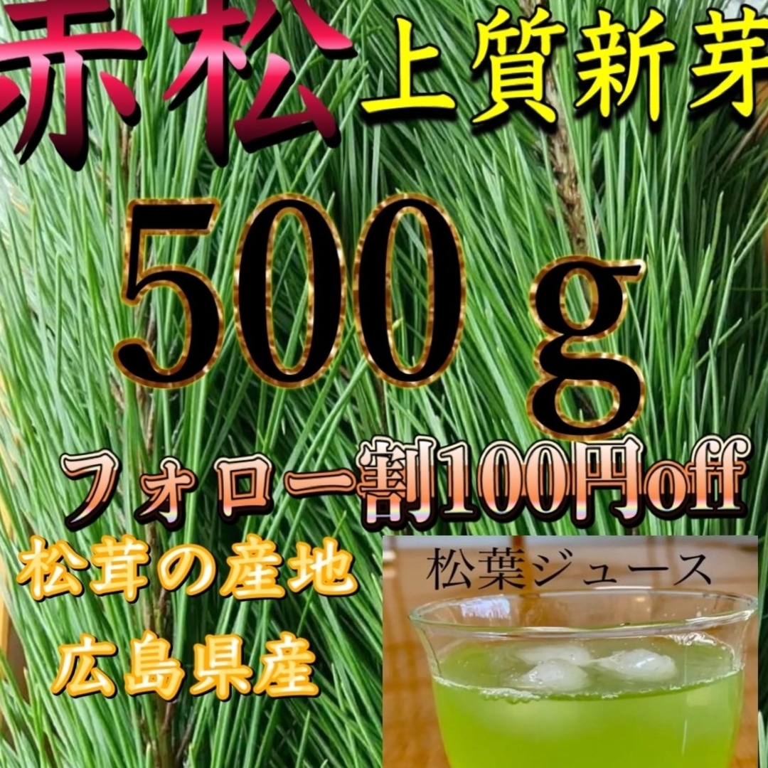 あそな様専用です。赤松松葉 松の葉、松葉ジュース500㌘ 農薬不使用 食品/飲料/酒の食品(野菜)の商品写真