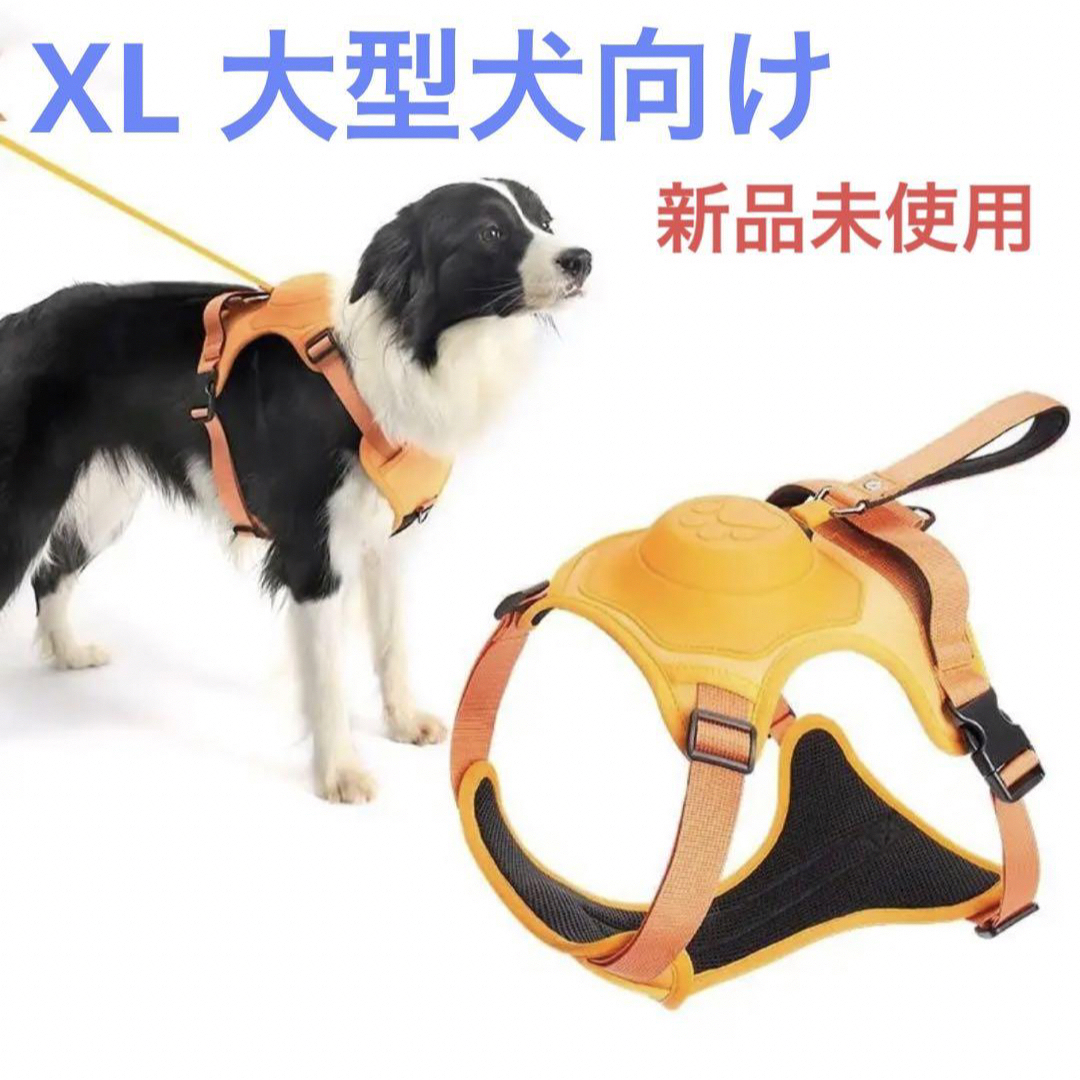 新品未使用 大型犬向け ハーネス&リードセット オレンジ XL | フリマアプリ ラクマ