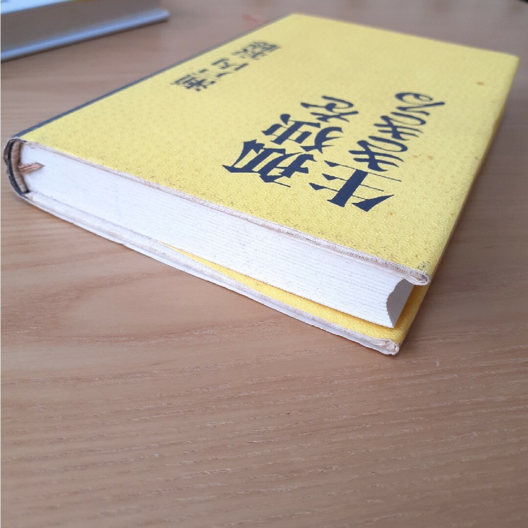 光文社(コウブンシャ)の孤独を生ききる　瀬戸内寂聴 エンタメ/ホビーの本(文学/小説)の商品写真