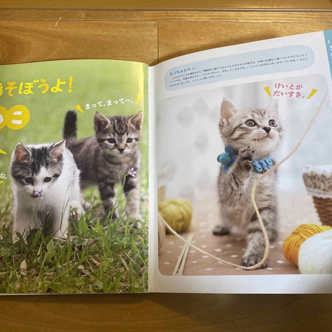 2歳のえほん百科 エンタメ/ホビーの本(絵本/児童書)の商品写真