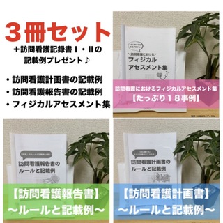 【３冊セット】訪問看護報告書・計画書のルールと記載例＋フィジカルアセスメント集(語学/参考書)