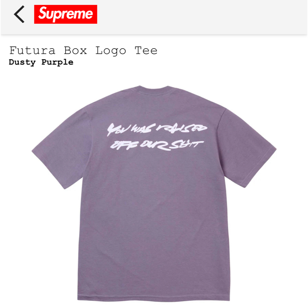 Supreme(シュプリーム)のSUPREME FUTURA BOX LOGO XL PURPLE TEE メンズのトップス(Tシャツ/カットソー(半袖/袖なし))の商品写真