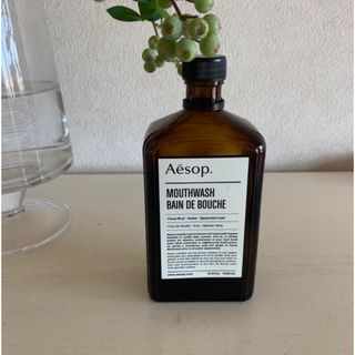 イソップ(Aesop)のAesop  イソップ　マウスウォッシュ　空き瓶(容器)