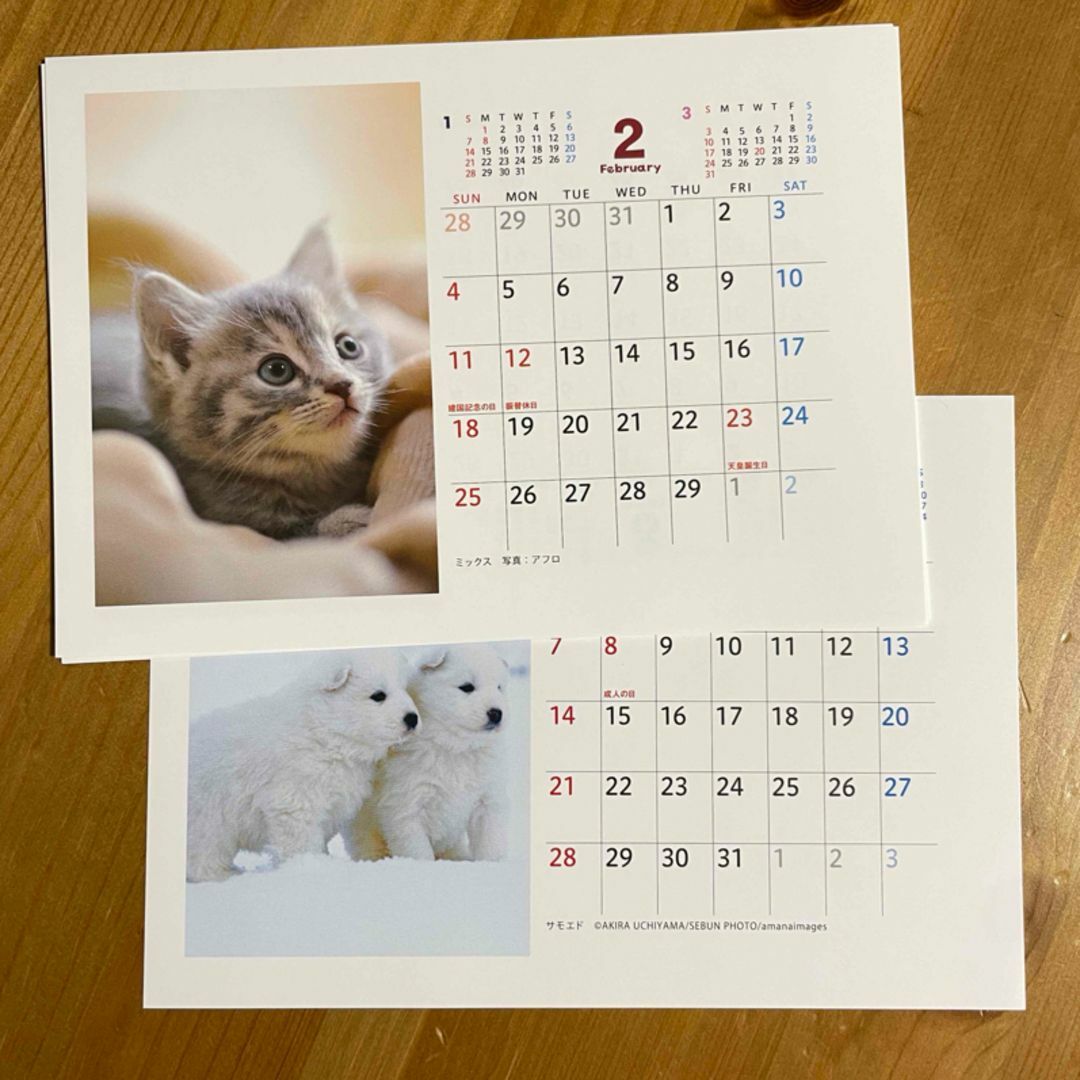 卓上カレンダー 住友生命 2024 犬 猫 インテリア/住まい/日用品の文房具(カレンダー/スケジュール)の商品写真
