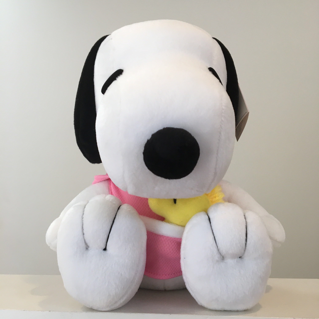 SNOOPY(スヌーピー)のスヌーピー  ぬいぐるみ　パーカー エンタメ/ホビーのおもちゃ/ぬいぐるみ(キャラクターグッズ)の商品写真