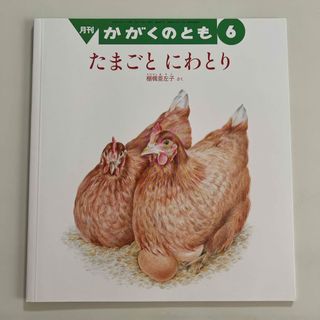 フクインカンショテン(福音館書店)のたまごと　にわとり　2018年6月号(絵本/児童書)