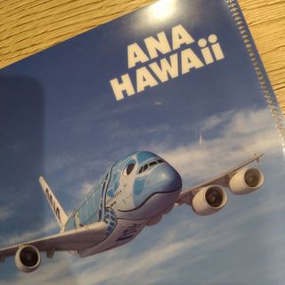 ANA FLYING HONU ミニファイル(航空機)