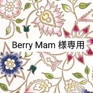 ザセム(the saem)のBerry Ｍam 様専用(コンシーラー)