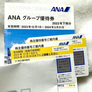 エーエヌエー(ゼンニッポンクウユ)(ANA(全日本空輸))のANA株主優待券2枚（冊子付）(その他)