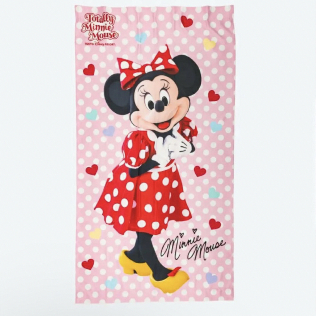 ディズニー ミニー 実写 ブランケット 販売終了(2024 ディズニー ミニー 実写 ブランケット 販売終了(2024