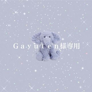 Ｇａｙｕｔｅｎ様専用(アイドルグッズ)